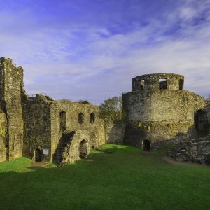 Dinefwr Castle