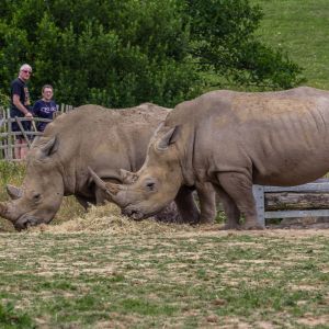 Manor Wildlife Park